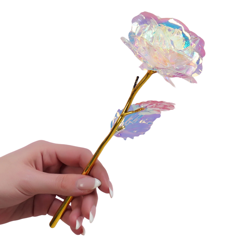 Rosa Galaxy Valentine - Compre 1 Leve 5! *Promoção Limitada!*